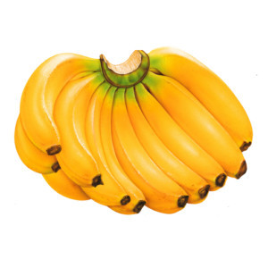 Бананы Вьетнам