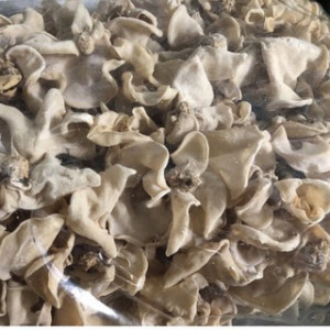 Древесные грибы белые 1кг ( Вьетнам )